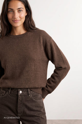 LR-ISMAILA 24 Pullover Brun