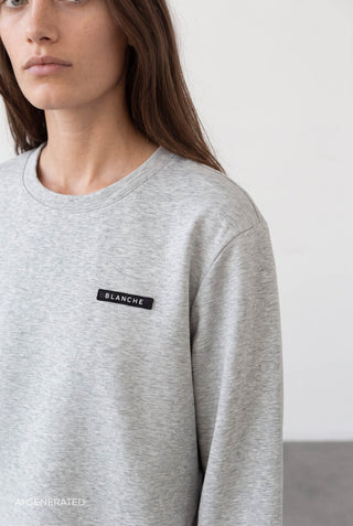 BL-ALONA ART 2 Sweatshirt Lys grå